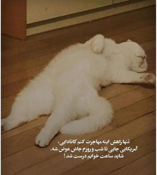 عکس با مقنعه خنده دار