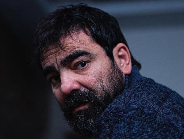عکس بهزاد شریفی
