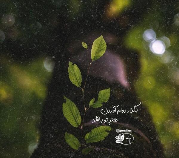 عکس نوشته های خدا می بیند
