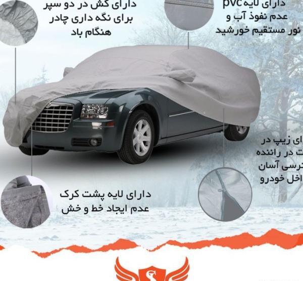 عکس جوجه تیغی نوزاد