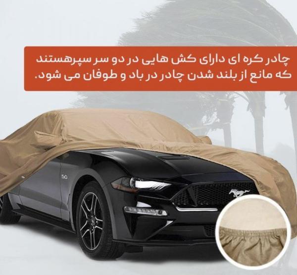 عکس جوجه تیغی نوزاد