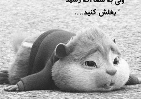 عکس بدون متن تیکه دار