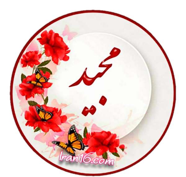 عکس استانبول گردی