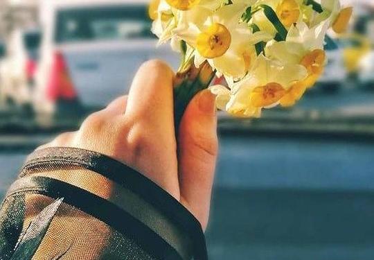 عکس گل نرگس برای پروفایل دخترونه شیک