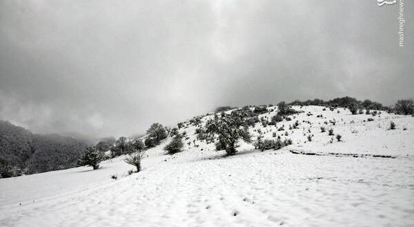 عکس زمستان گردنه حیران
