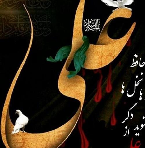 عکس امام علی شهید
