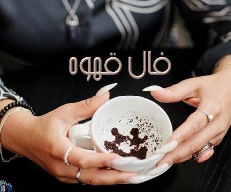 عکس نوزاد مارمولک