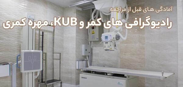 عکس ساده کلیه