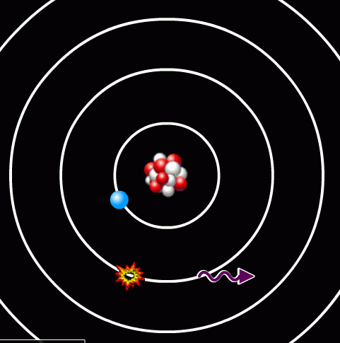 عکس ساده کلیه