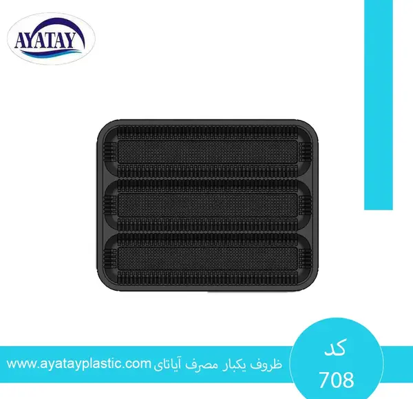عکس غذا در ظروف یکبار مصرف