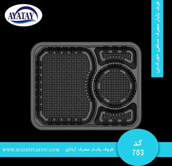 عکس غذا در ظروف یکبار مصرف