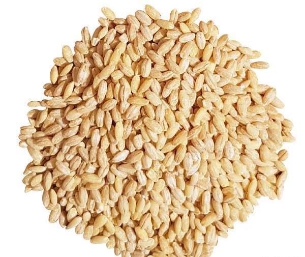 عکس جو پوست