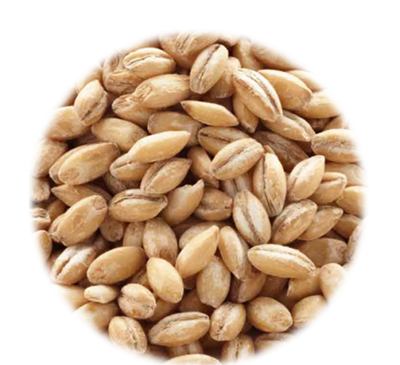 عکس جو پوست