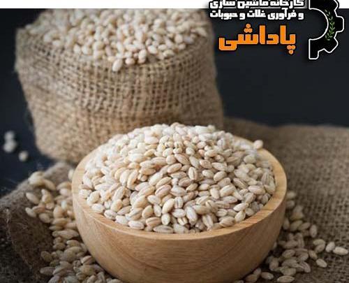 عکس جو پوست