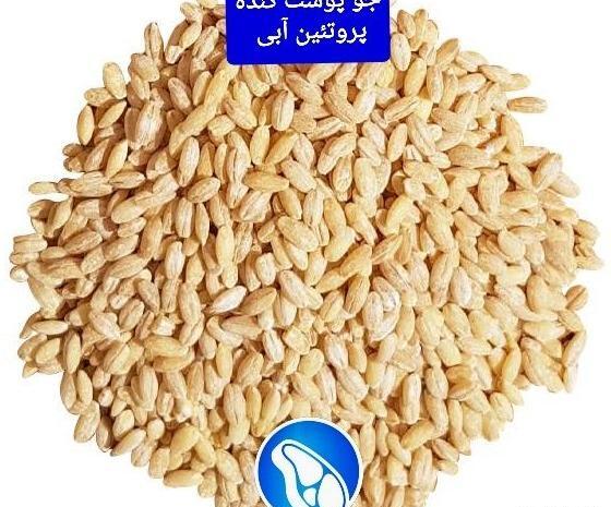 عکس جو پوست