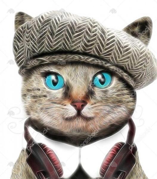 عکس گربه خنده دار با متن