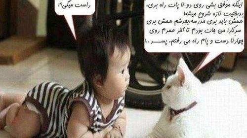 عکس گربه خنده دار با متن