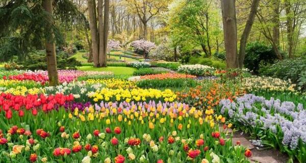 عکس از طبیعت شهریار