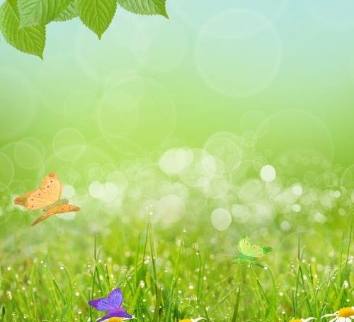 عکس از طبیعت شهریار