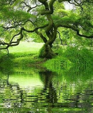 عکس از طبیعت شهریار