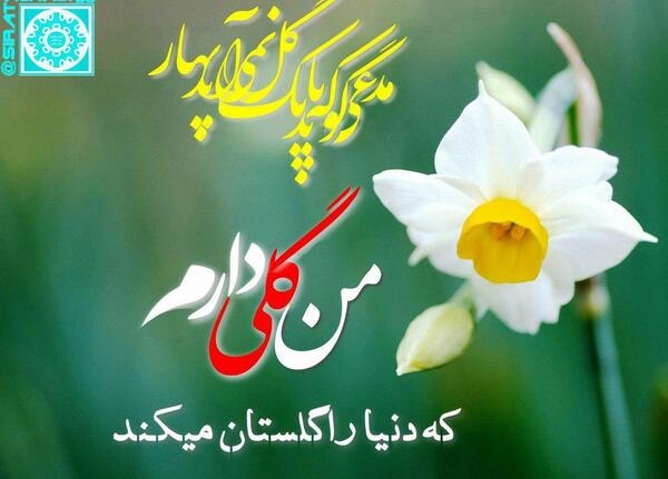 عکس نوشته مسجد گوهرشاد