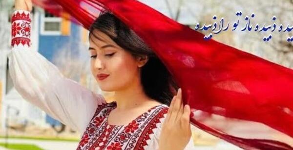 عکس شاه مارها