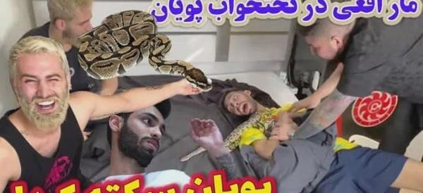عکس مارهای یزد