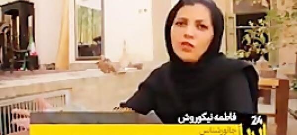 عکس مارهای یزد