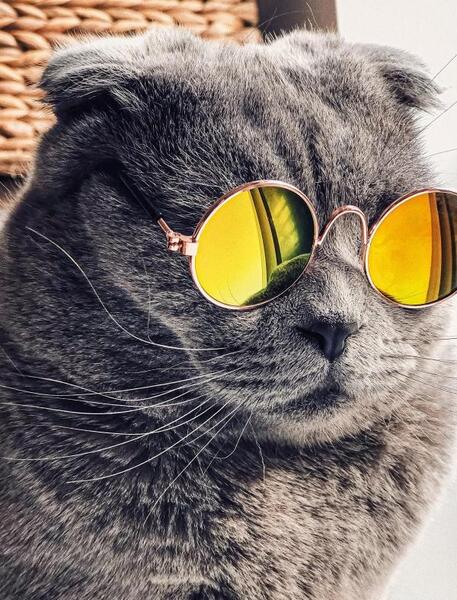 عکس عینک چشم گربه ای