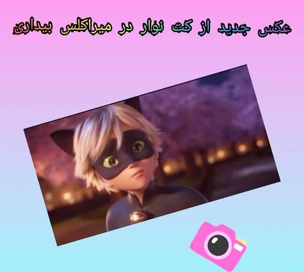 عکس کت نوار در میراکلس بیداری