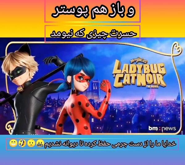 عکس کت نوار در میراکلس بیداری