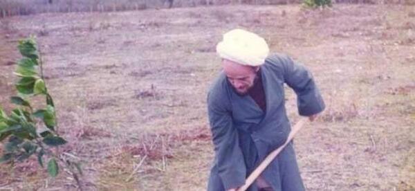 عکس محمد تقی جعفری