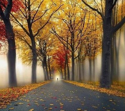 عکس طبیعت فوق العاده زیبا برای پروفایل