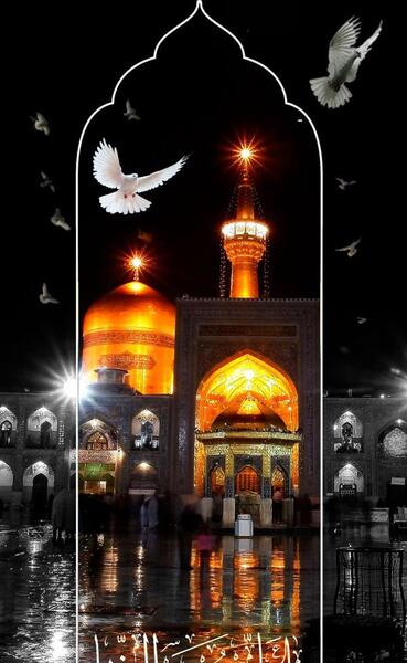 عکس حرم امام رضا سایز استوری