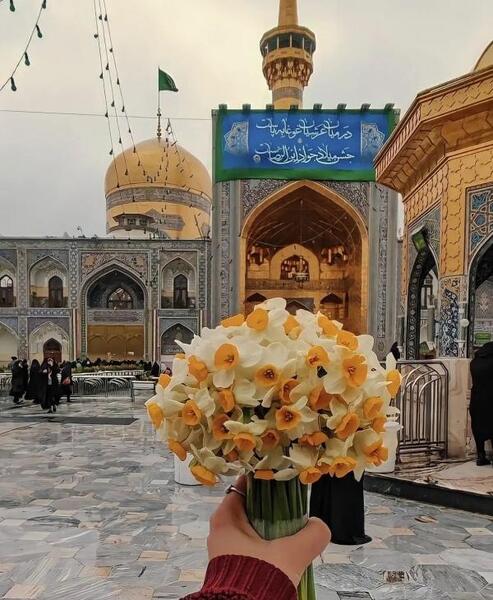 عکس حرم امام رضا سایز استوری