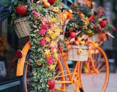 عکس گل پاییزی برای پروفایل