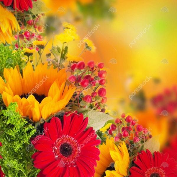 عکس گل پاییزی برای پروفایل