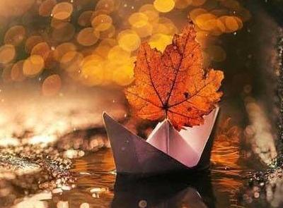 عکس گل پاییزی برای پروفایل