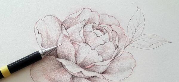 عکس نقاشی گل نقطه ای
