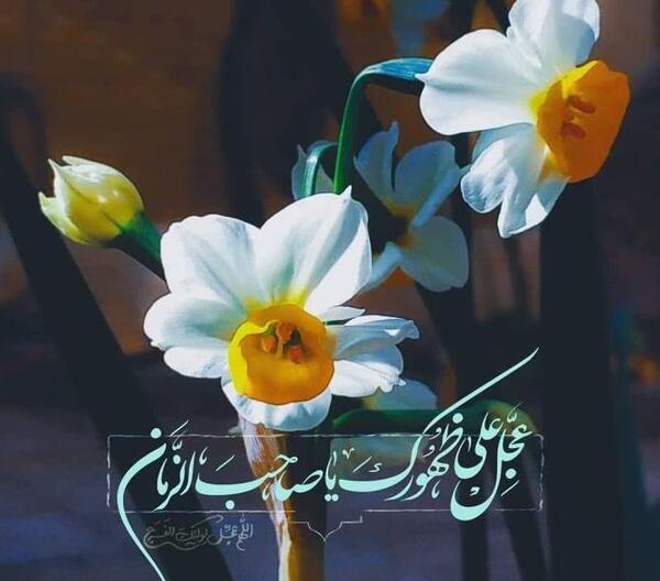 عکس نوشته بر چهره دلربای مهدی صلوات