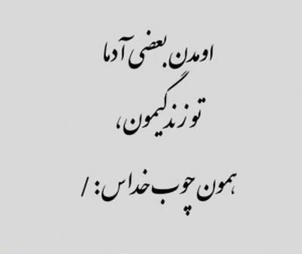 عکس و متن چوب خدا صدا نداره