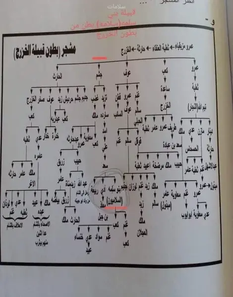 عکس پرچم عربی