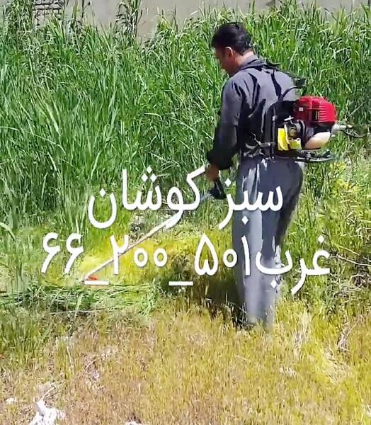 عکس پرچم عربی
