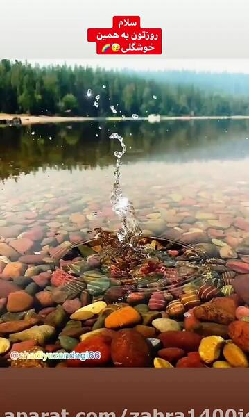 عکس سنگ دریایی