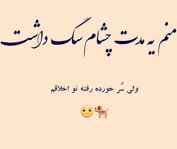 عکس نوشته اخلاق سگی