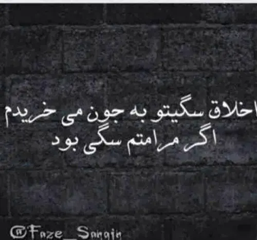 عکس نوشته اخلاق سگی