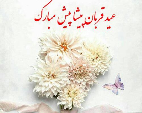 عکس های زیبا تبریک عید قربان