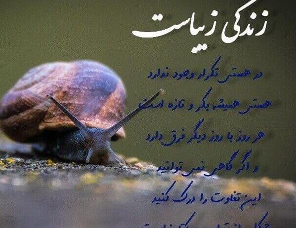 عکس نوشته زندگی قانون لیاقت هاست