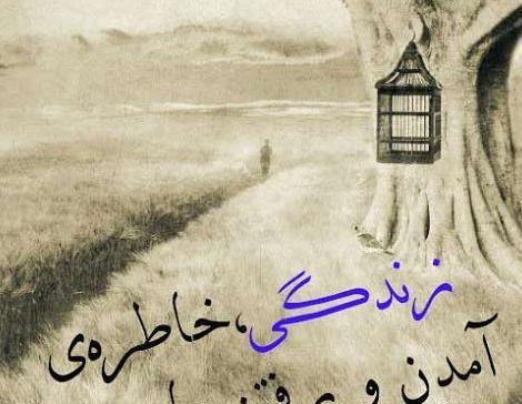 عکس نوشته زندگی قانون لیاقت هاست