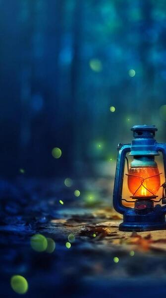 عکس شب فرانسه